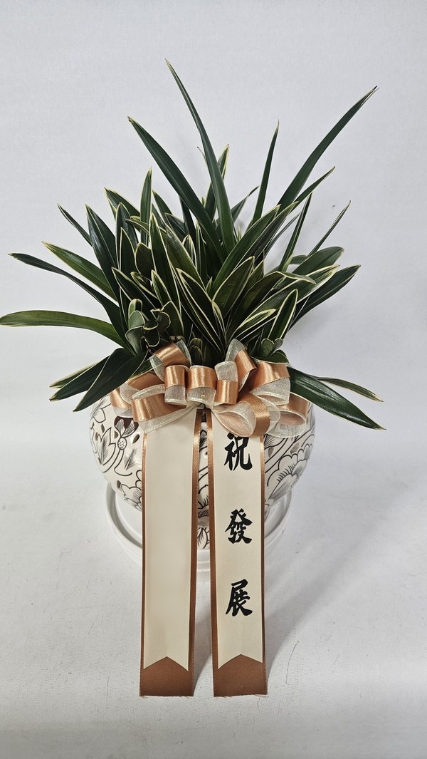 주문자 윤ㅇㅇ 파주로 주문주신 상품입니다