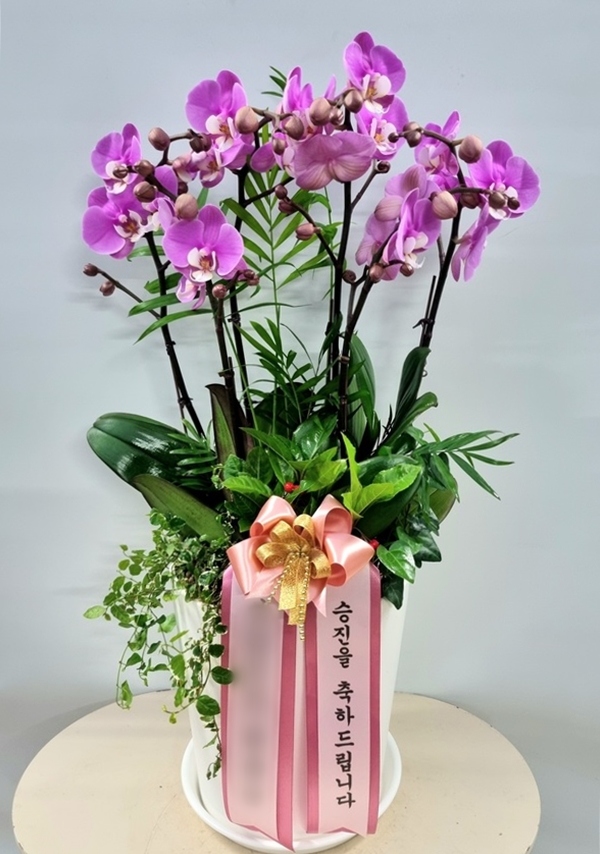 주문자 성ㅇㅇㅇ 인천으로 주문주신 상품입니다