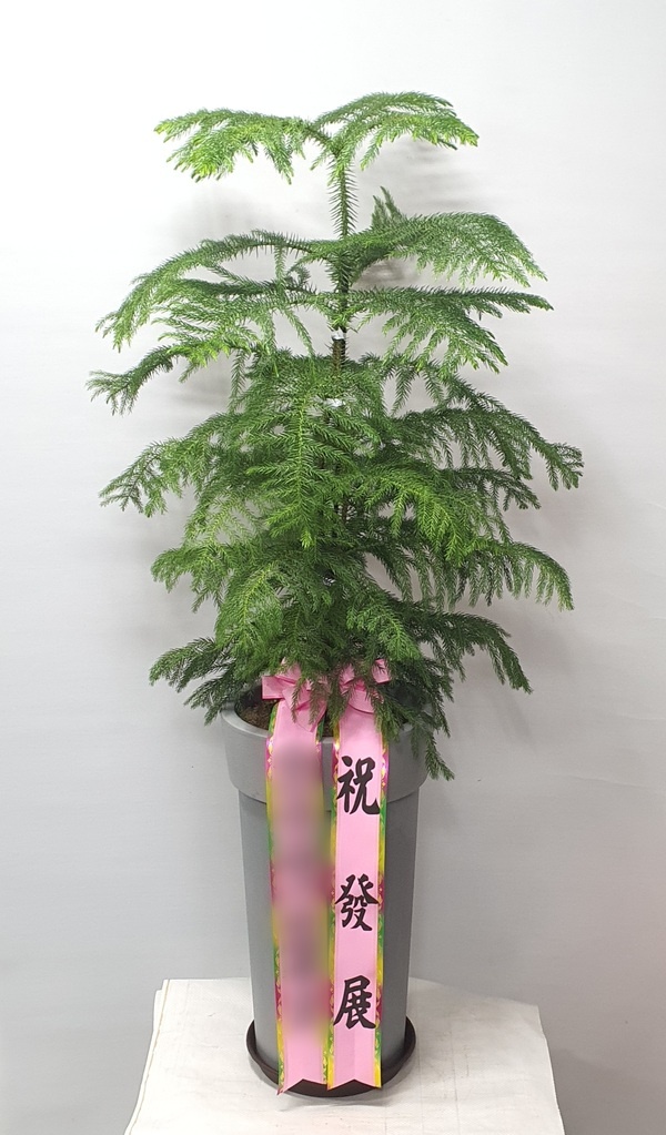 주문자 반ㅇㅇ 거제로 주문주신 상품입니다