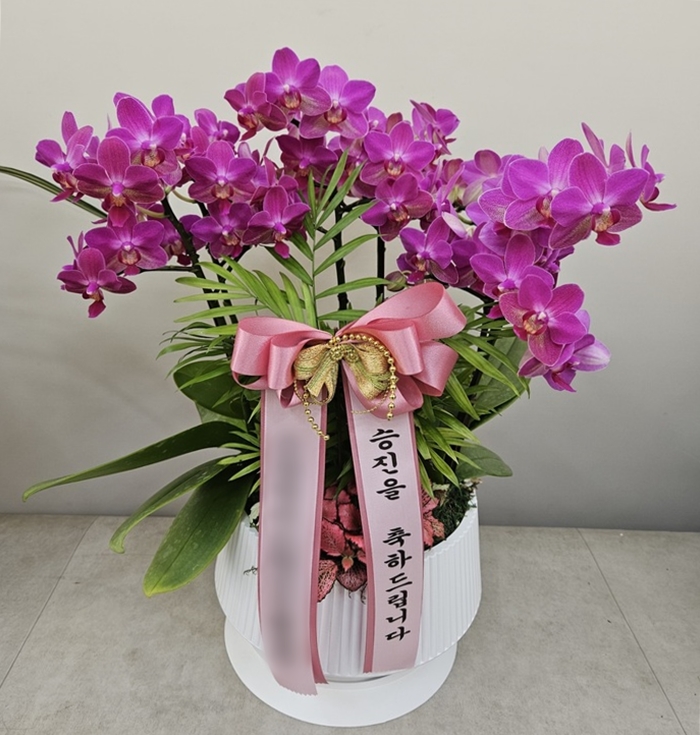 주문자 우ㅇㅇㅇㅇ 고양으로 주문주신 상품입니다