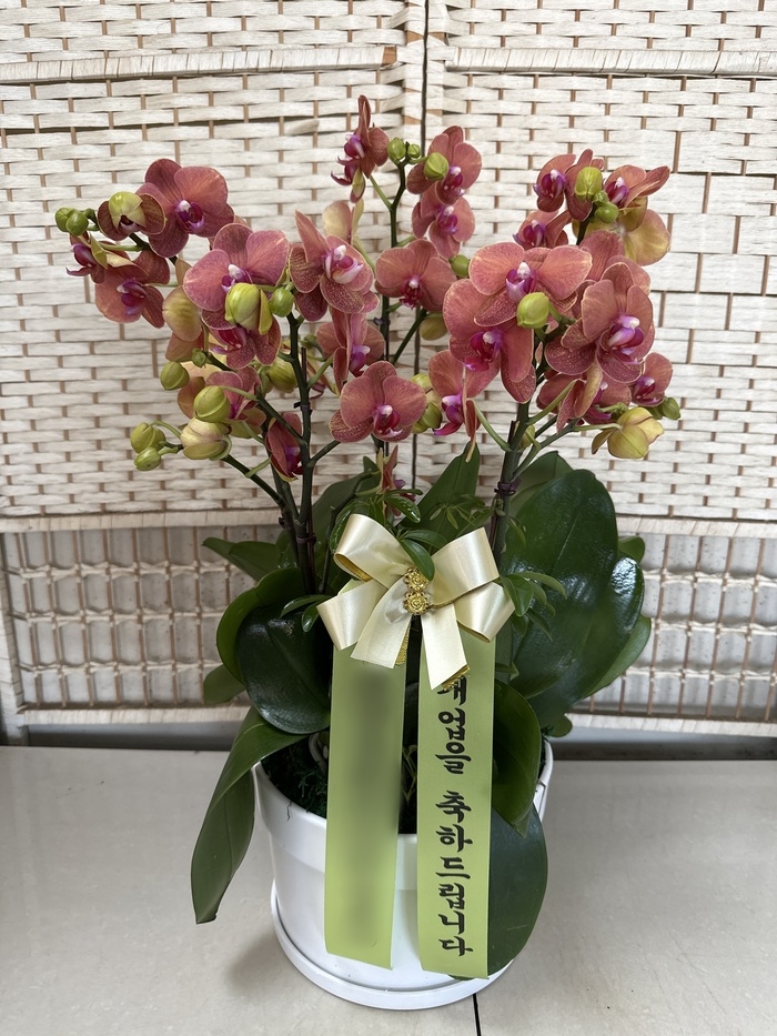 주문자 남ㅇㅇ 서울로 주문주신 상품입니다