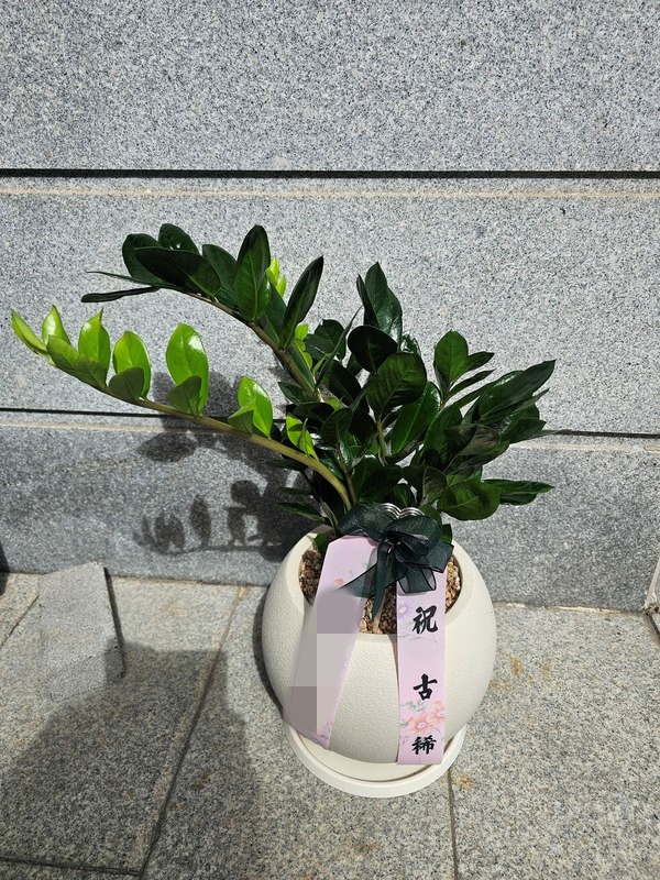 주문자 대ㅇㅇ 대구로 주문주신 상품입니다
