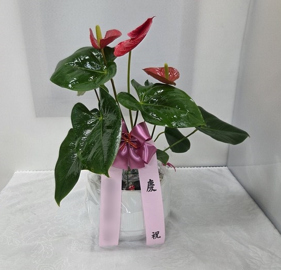 주문자 김ㅇㅇ 보령으로 주문주신 상품입니다