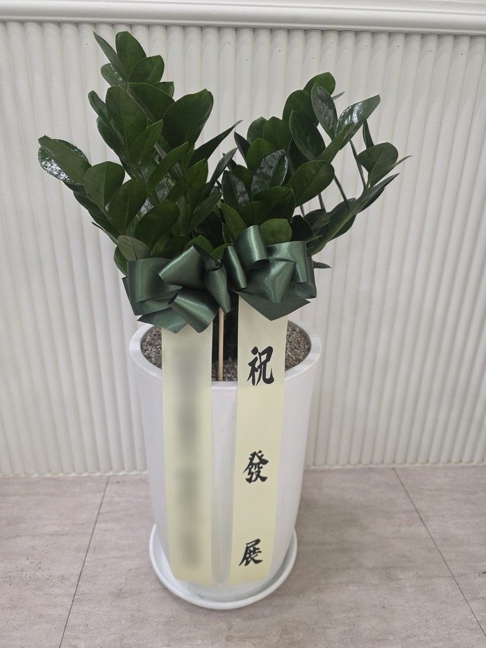 주문자 현ㅇㅇㅇㅇㅇ 남양주로 주문주신 상품입니다