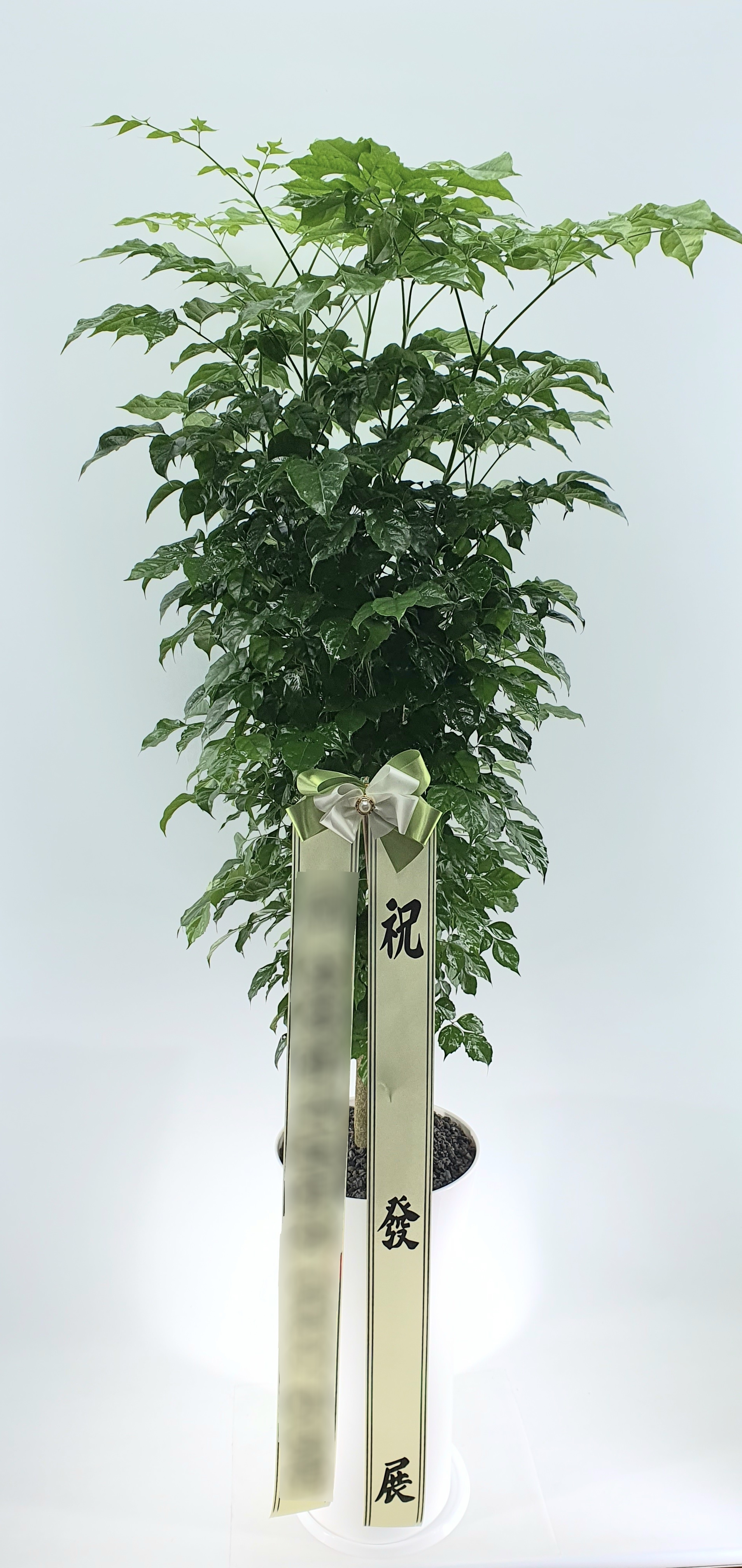 주문자 삼ㅇㅇㅇㅇㅇㅇ 서울로 주문주신 상품입니다