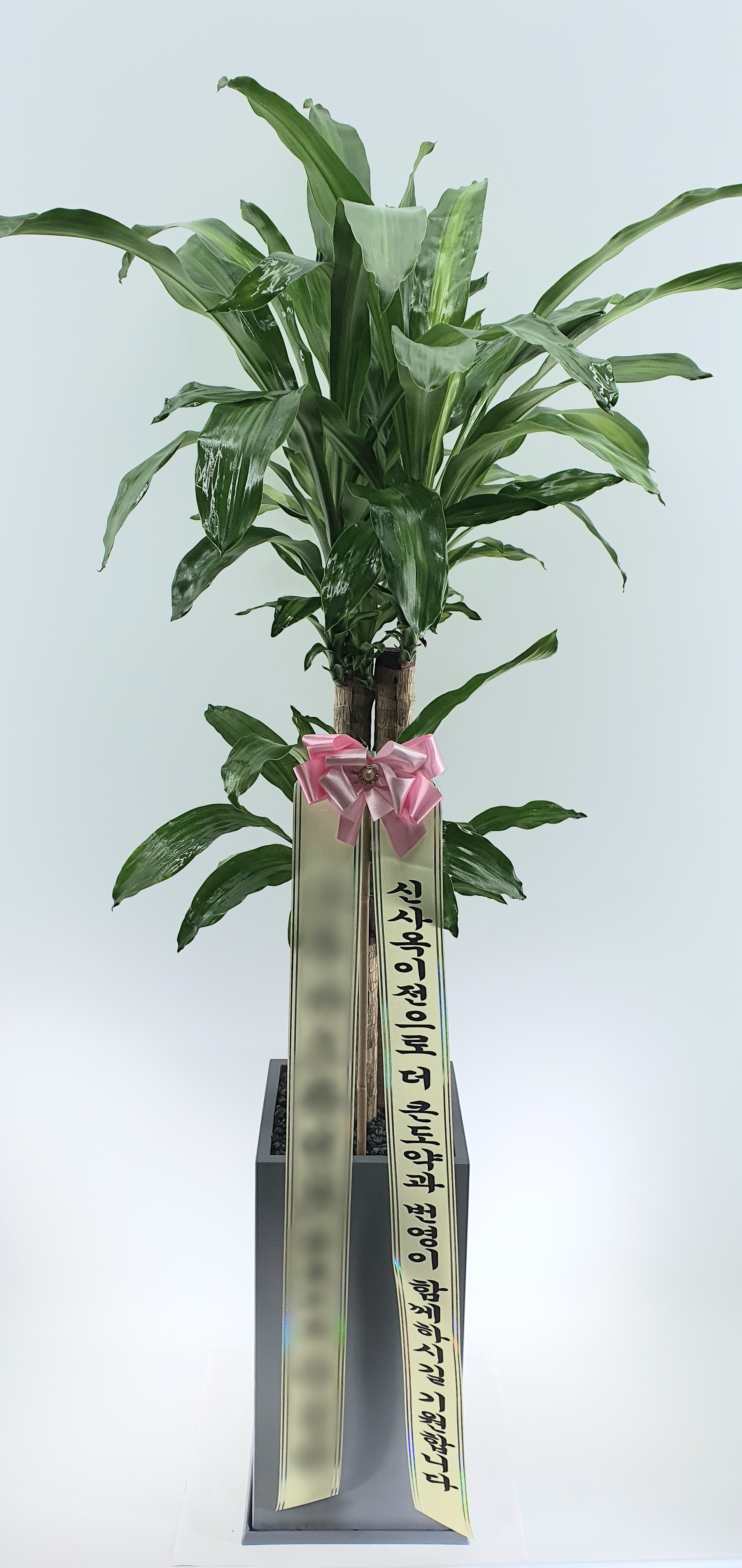 주문자 주ㅇㅇ 서울로 주문주신 상품입니다