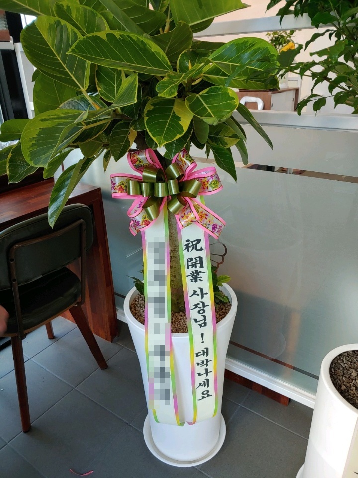 주문자 김00 서울로 주문주신 관엽식물 입니다