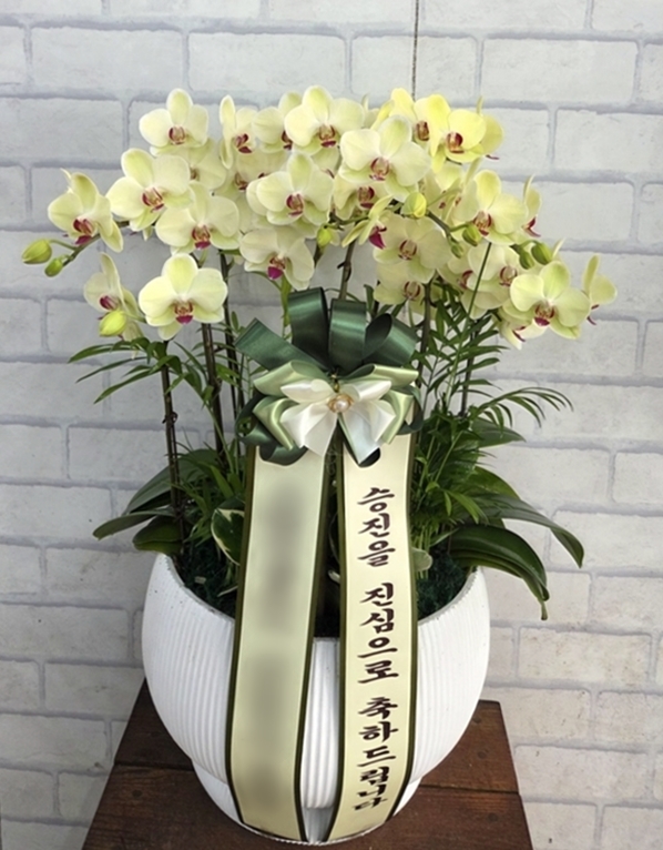 주문자 권ㅇㅇ 용인으로 주문주신 상품입니다