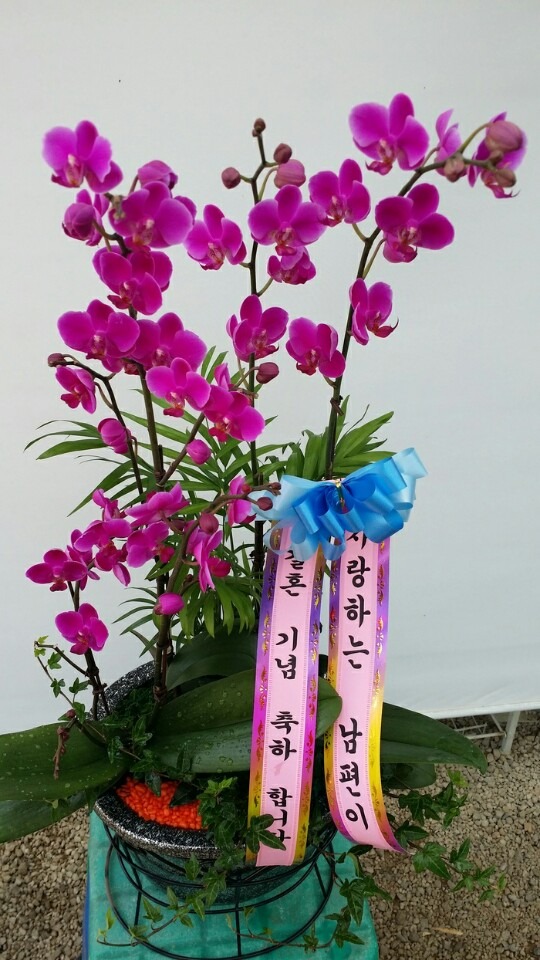 부산 사상구로 가는 배송사진입니다