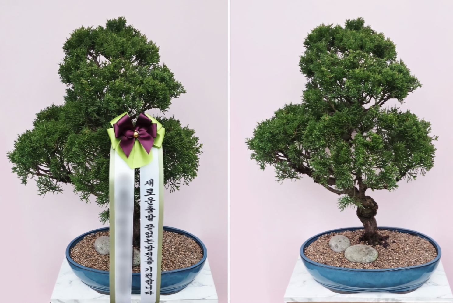 주문자 한ㅇㅇ 의정부로 주문주신 상품입니다