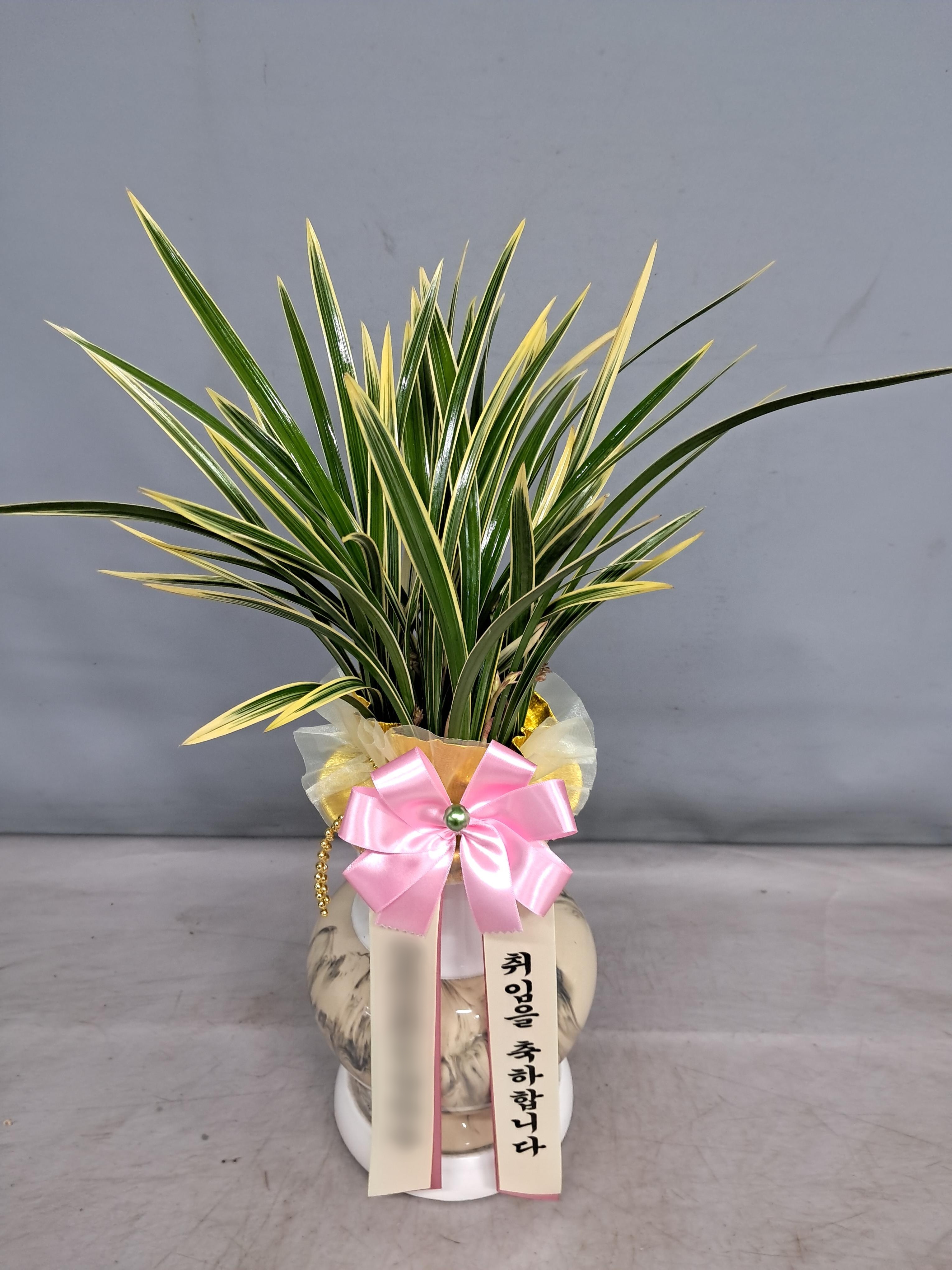 주문자 연ㅇㅇ 성남으로 주문주신 상품입니다