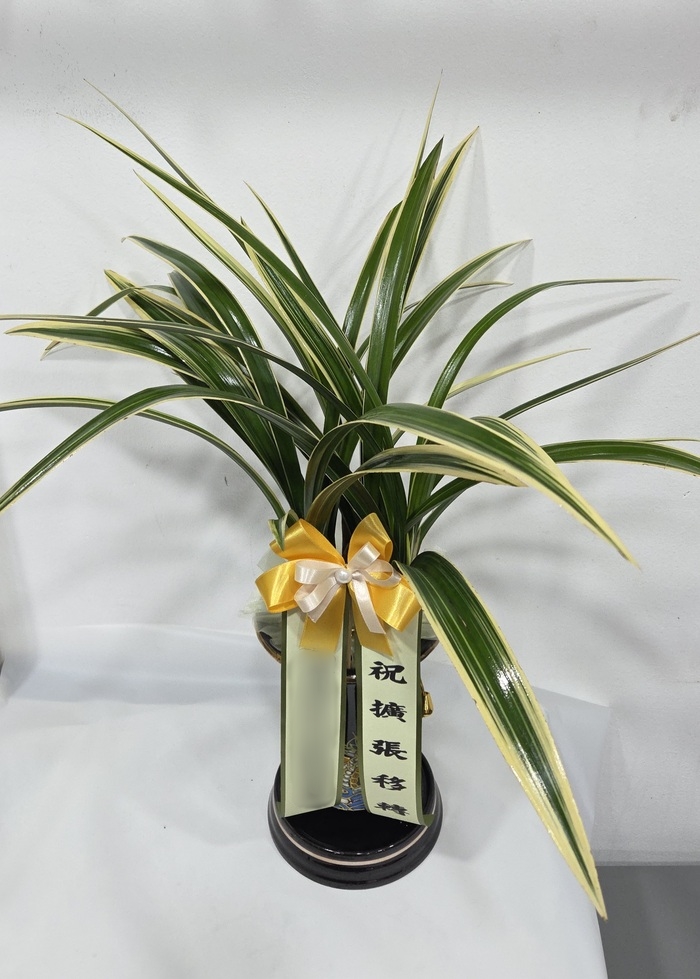 주문자 금ㅇㅇㅇㅇㅇ 이천으로 주문주신 상품입니다