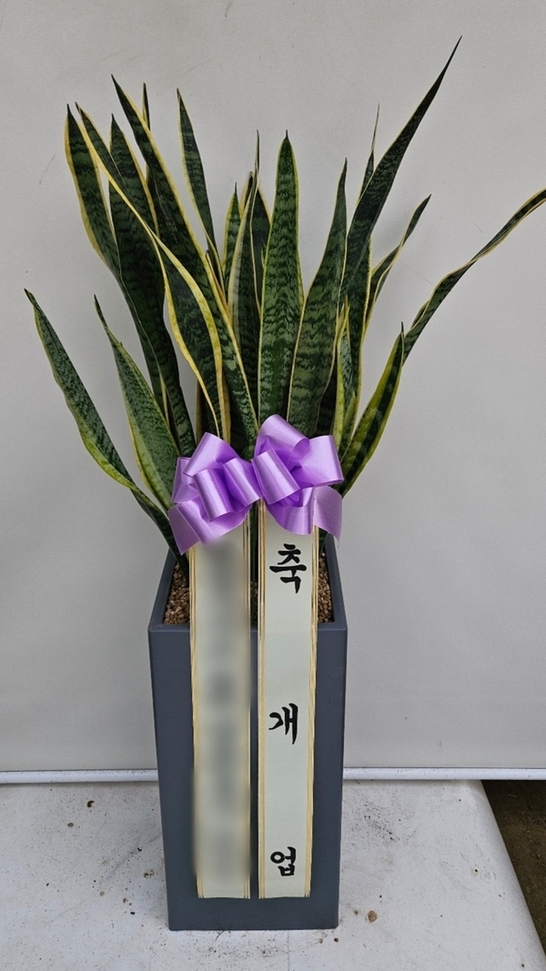 주문자 김ㅇㅇ 천안으로 주문주신 상품입니다
