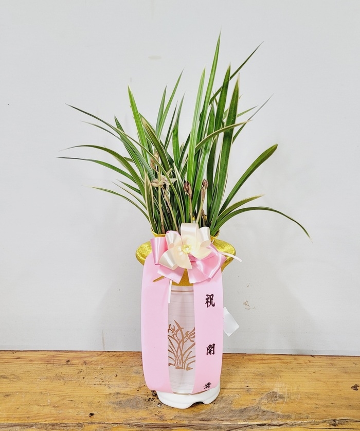 주문자 디ㅇㅇㅇㅇㅇ 아산으로 주문주신 상품입니다