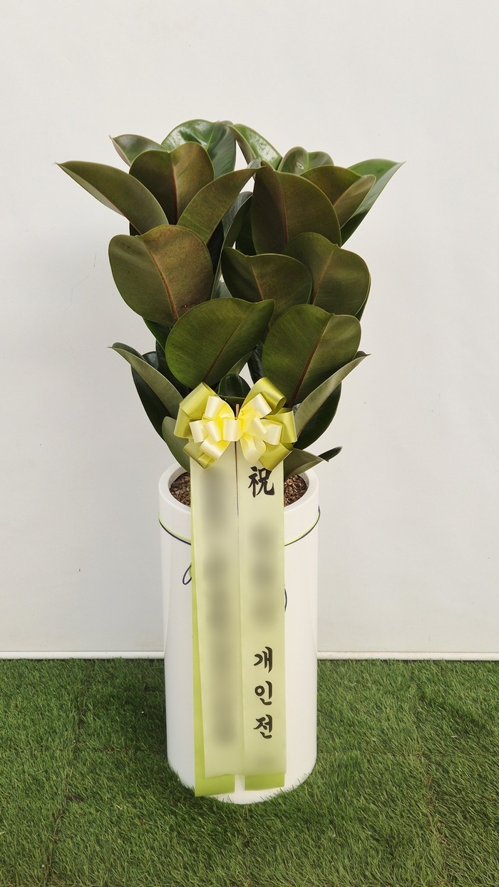 주문자 황ㅇㅇ 구미로 주문주신 상품입니다