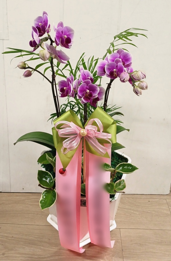 주문자 지ㅇㅇㅇㅇ 광주로 주문주신 상품입니다