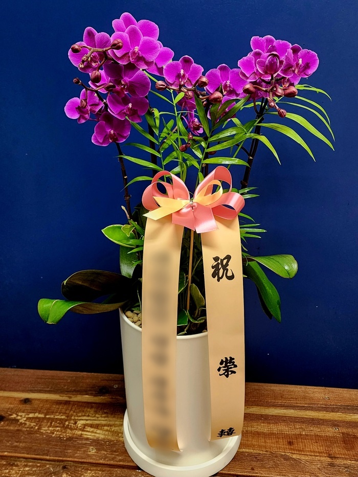 주문자 양ㅇㅇ 예산으로 주문주신 상품입니다