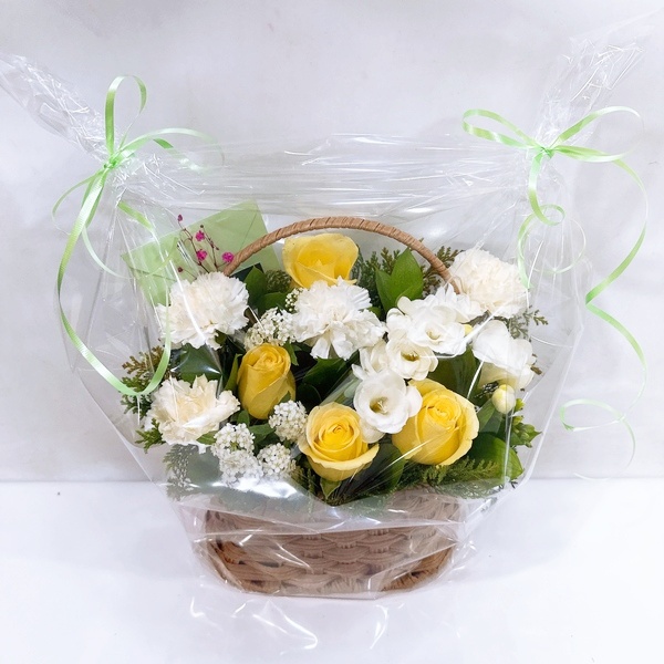 주문자 wㅇㅇㅇㅇ 고양으로 주문주신 상품입니다