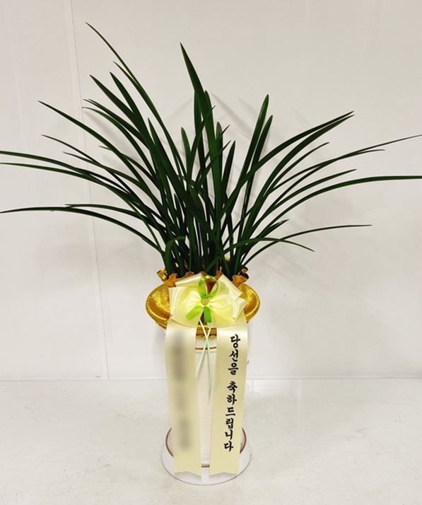 주문자 진ㅇㅇㅇ 창원으로 주문주신 상품입니다