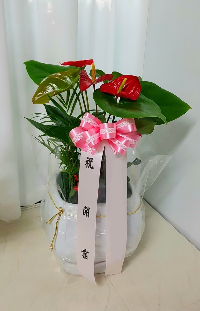 주문자 김ㅇㅇ 충북 제천으로  배송된 상품입니다 