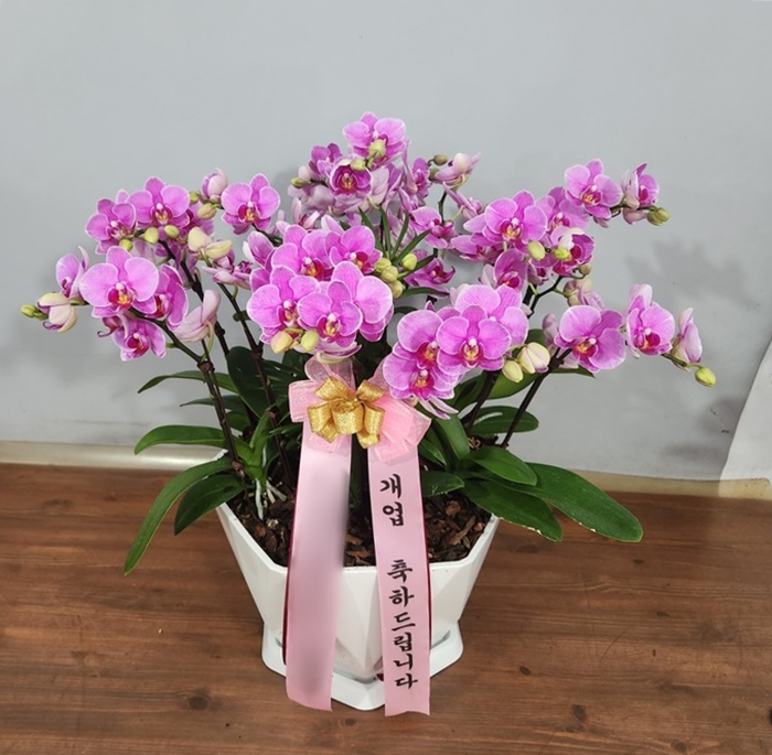 주문자 정ㅇㅇ 아산으로 주문주신 상품입니다