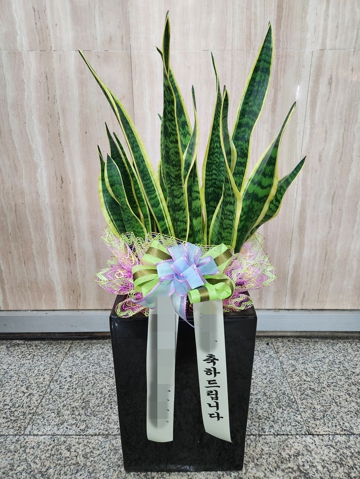 주문자 이ㅇㅇ 서울 영등포구로 배송된상품입니다 