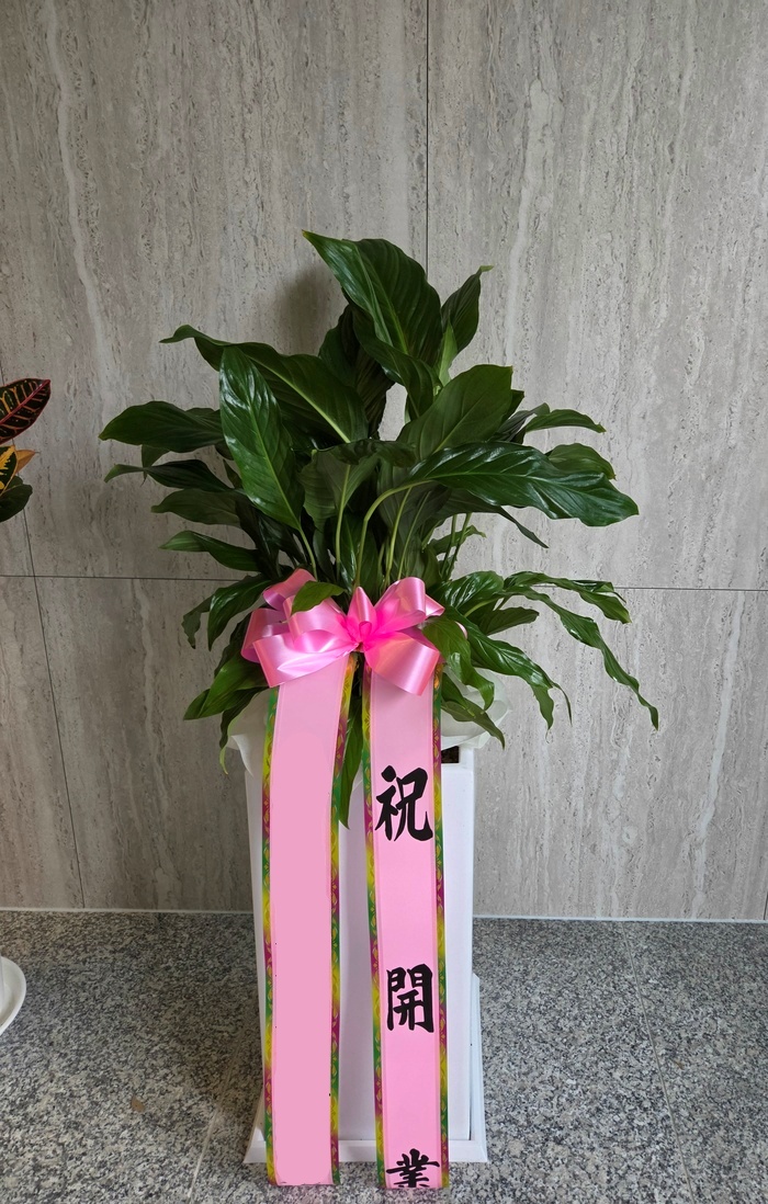 주문자 원ㅇㅇ 양산으로 주문주신 상품입니다