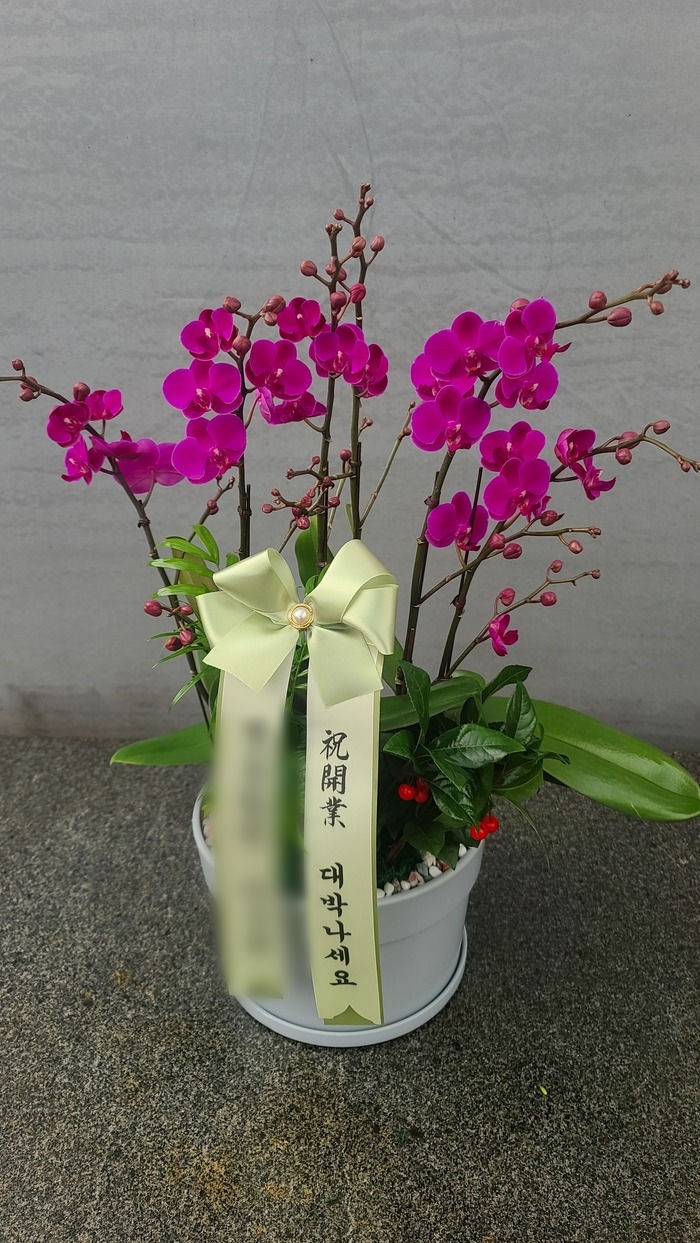 주문자 성ㅇㅇ 강원도로 주문주신 상품입니다
