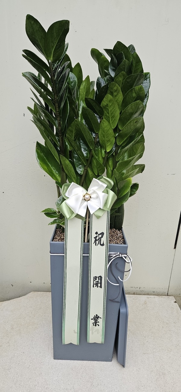 주문자 이ㅇㅇ 양주로 주문주신 상품입니다