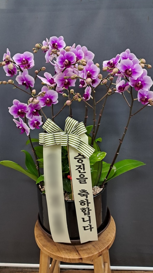 주문자 김ㅇㅇ 순천으로 주문주신 상품입니다