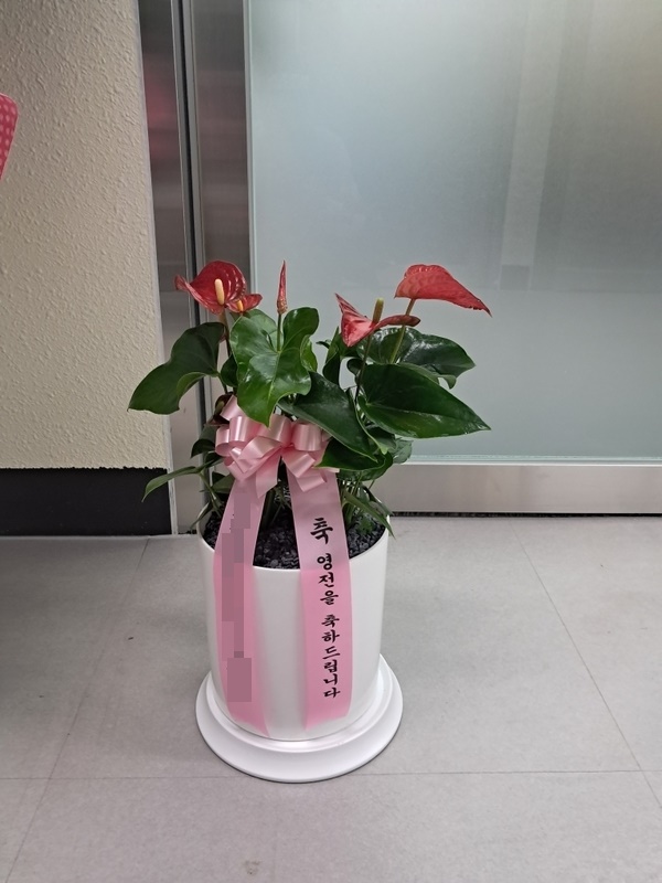 주문자 서00 대구로 주문주신 관엽식물 입니다