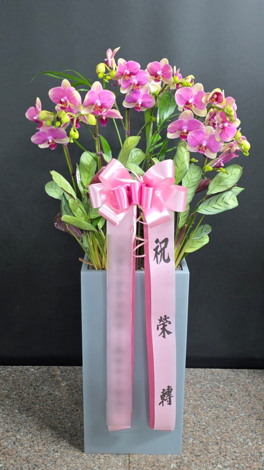 주문자 이ㅇㅇ 서울로 주문주신 상품입니다