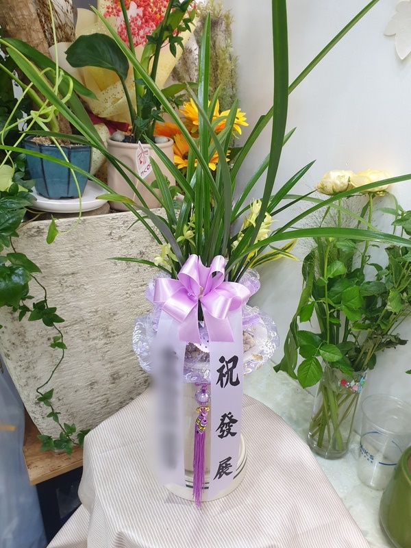 주문자 한ㅇㅇ님이 남양주로 주문하신 동양란 