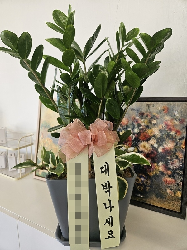 주문자 한ㅇㅇ 제주로 주문주신 상품입니다