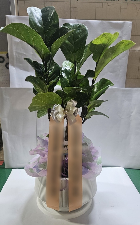 주문자 한ㅇㅇ 청도로 주문주신 상품입니다