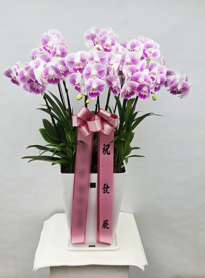 주문자 정ㅇㅇ 파주로 주문주신 상품입니다