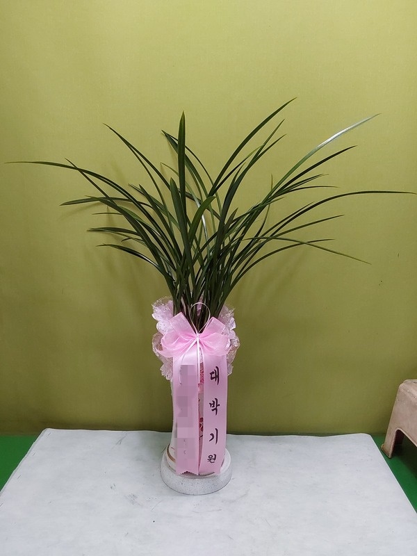 주문자 김ㅇㅇ 양평군로 배송된사진입니다