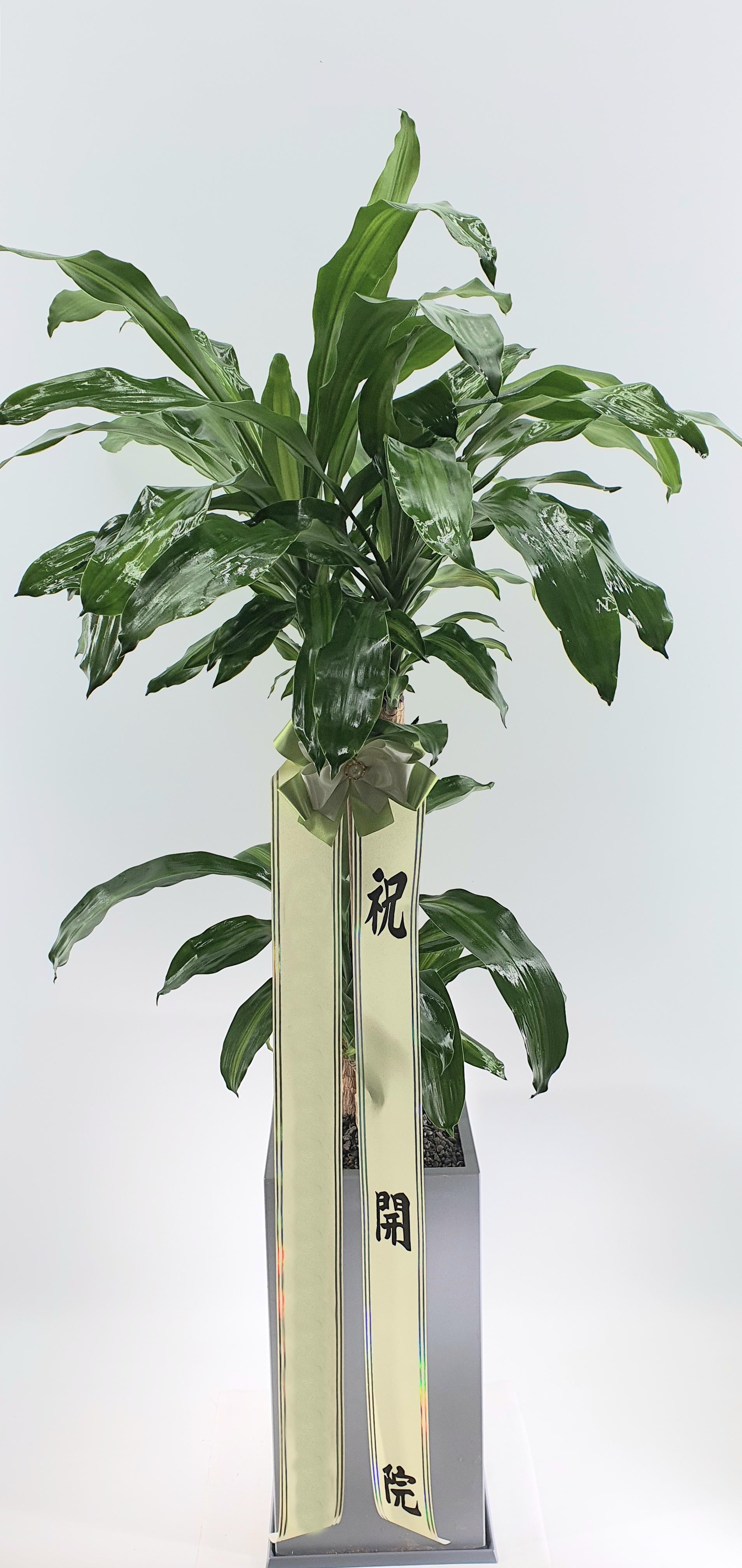 주문자 김ㅇㅇ 서울로 주문주신 상품입니다