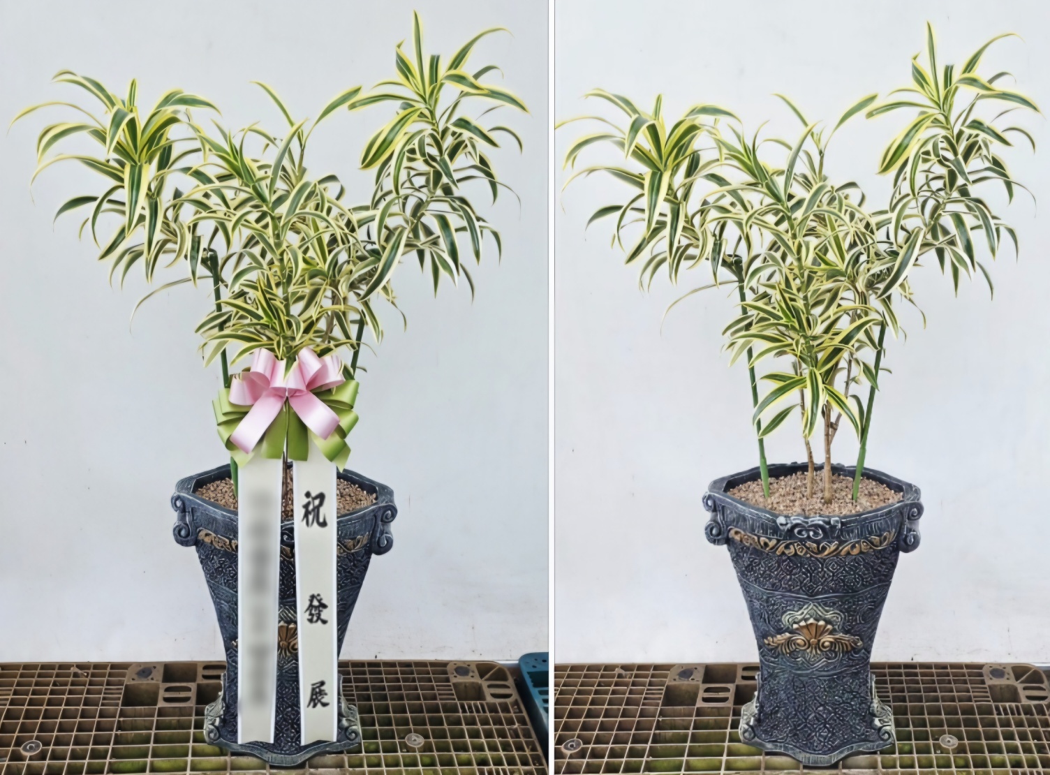 주문자 피ㅇㅇ 고양으로 주문주신 상품입니다