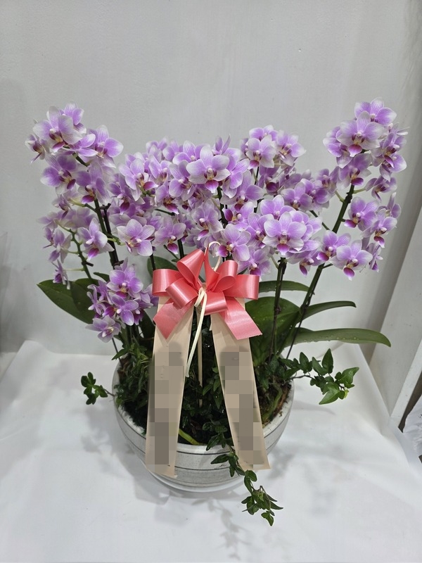 주문자 유ㅇㅇ 남양주로 주문주신 상품입니다