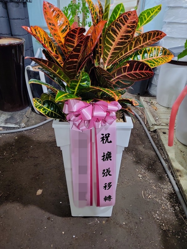 주문자 미ㅇㅇㅇ 서울 금천구로 배송된상품사진입니다 
