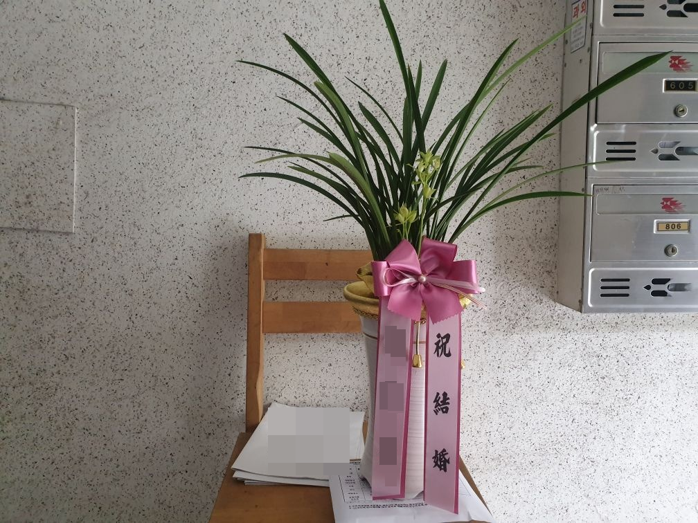 주문자 김00 서울로 주문주신 동양난 입니다