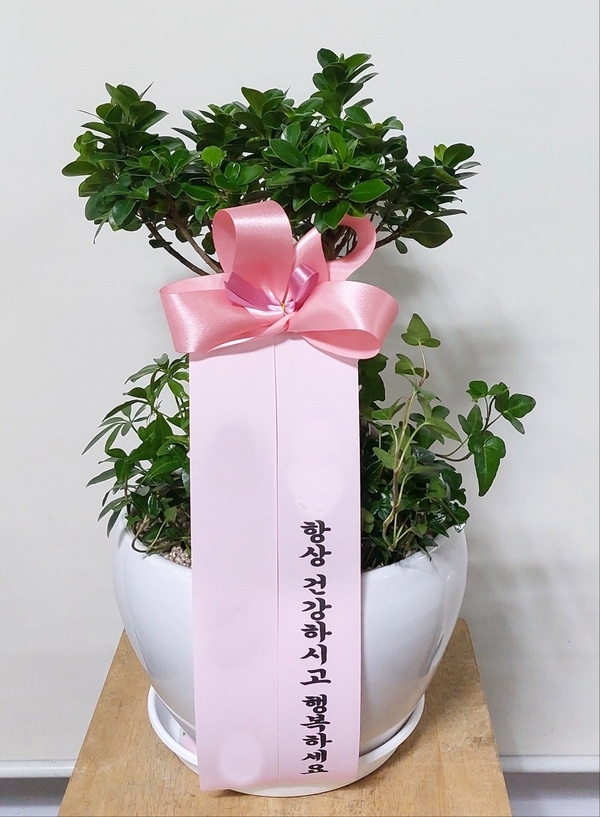 주문자 박ㅇㅇ 창원으로 주문주신 상품입니다