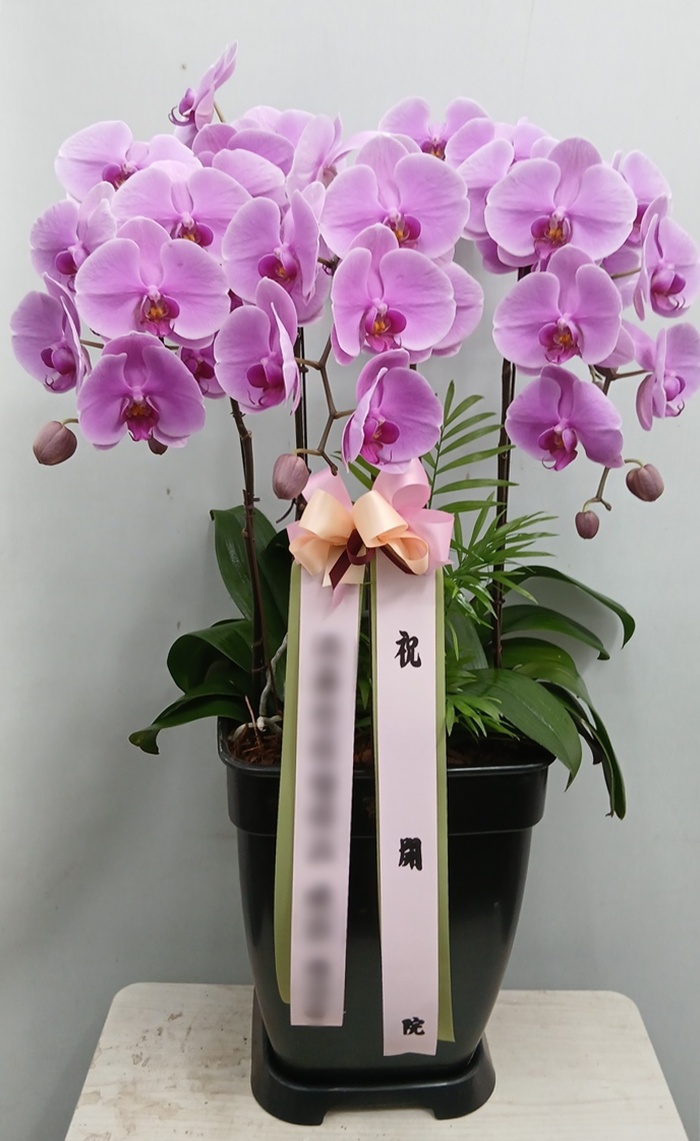 주문자 정ㅇㅇ 화성으로 주문주신 상품입니다