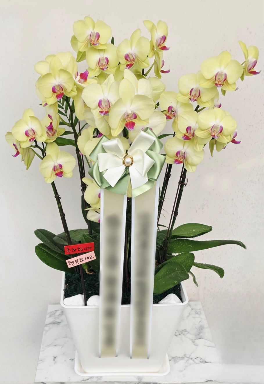 주문자 한ㅇㅇ 고양으로 주문주신 상품입니다