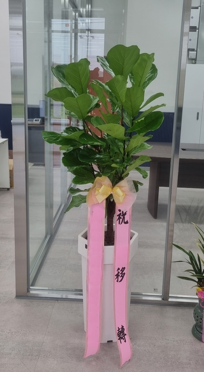 주문자 최ㅇㅇ 광주로 주문주신 상품입니다