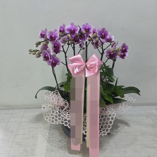 주문자 변ㅇㅇ 포항으로 주문주신 상품입니다
