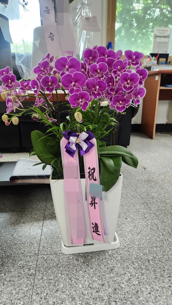 주문자 조00 군산으로 주문주신 서양난 입니다