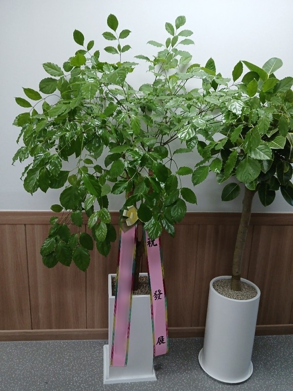 주문자 양ㅇㅇ 대전으로 주문주신 상품입니다