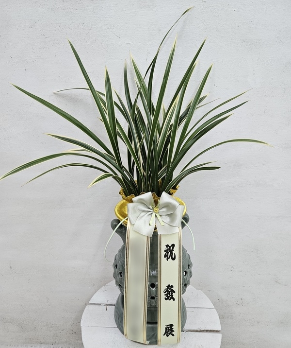 주문자 크ㅇ 창원으로 주문주신 상품입니다